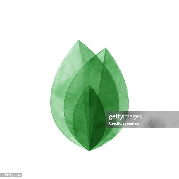 illustrations, cliparts, dessins animés et icônes de aquarelle chevauchant des feuilles vertes - écologie