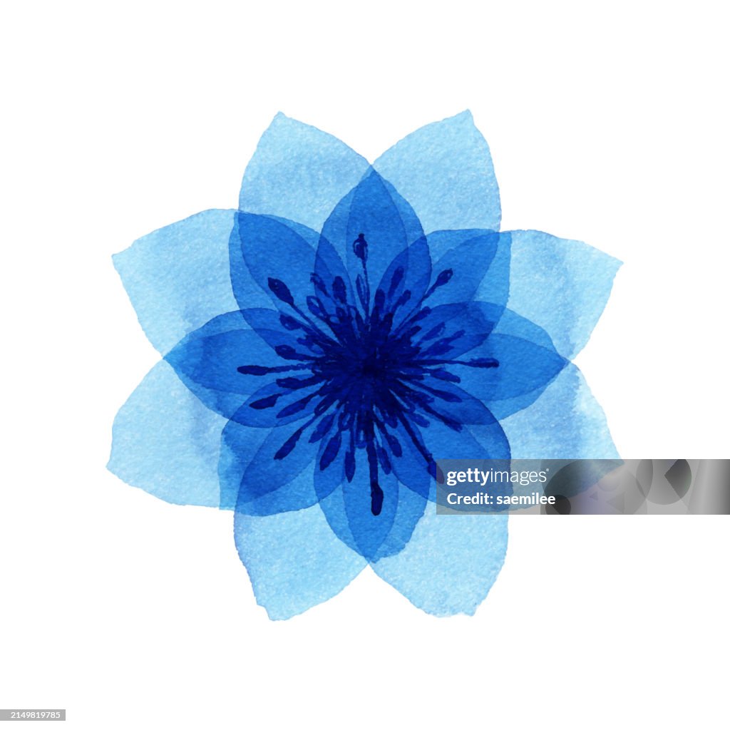 Watercolor Layered Blue Flowers