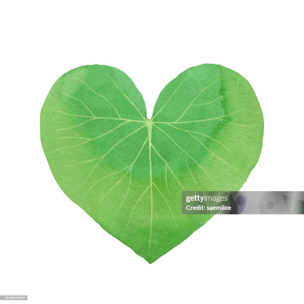 Watercolor Heart Shaped Green Leaf