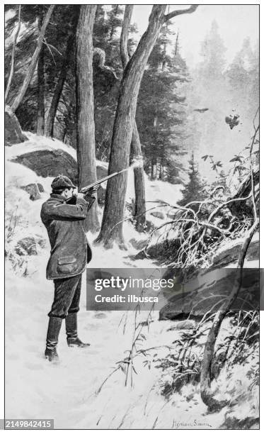 antique image: hunter shooting bird - animals hunting stock illustrations