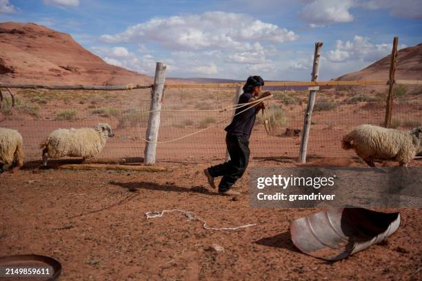Old Roping Pen 2,256 Native American Teen Male Stock Photos, High-Res Pictures, and ...