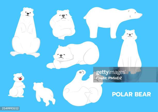 polar bear illustrations,pose - bear cub stock illustrations