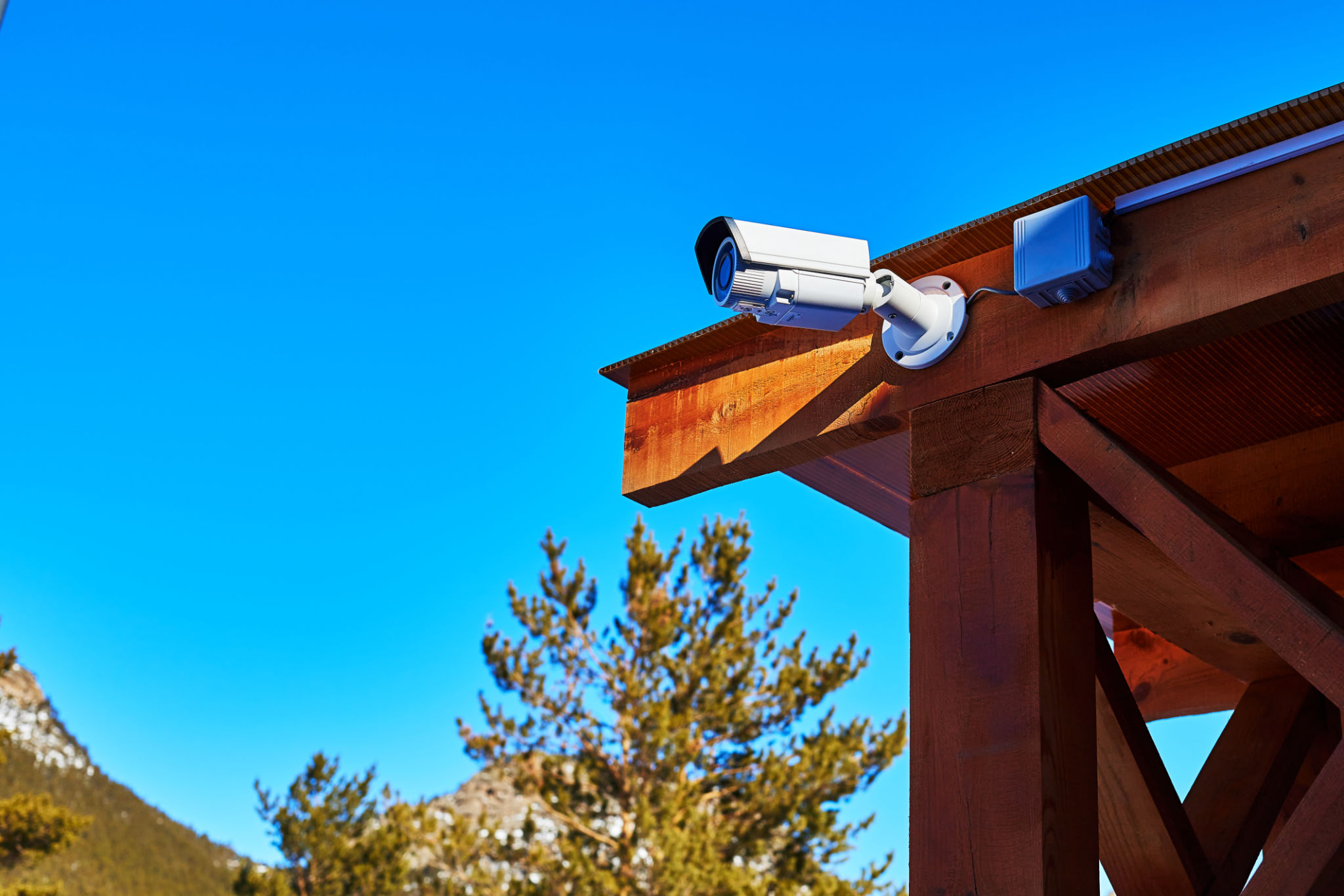 video surveillance camera mounted on a wooden canopy video surveillance camera mounted on a wooden canopy