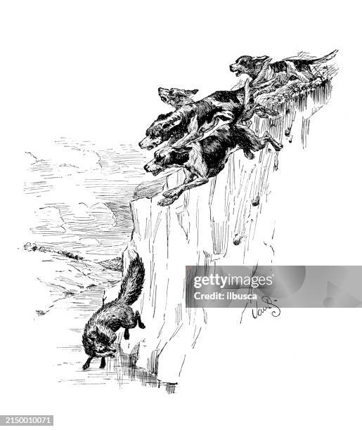 antique image: hunting dogs chasing fox - dog chasing stock illustrations