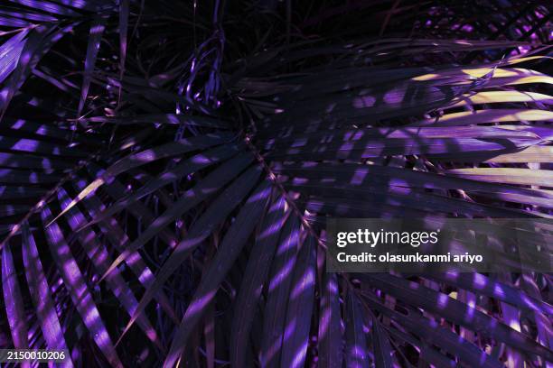 realistic textures for visual design - macro leaf water stock pictures, royalty-free photos & images