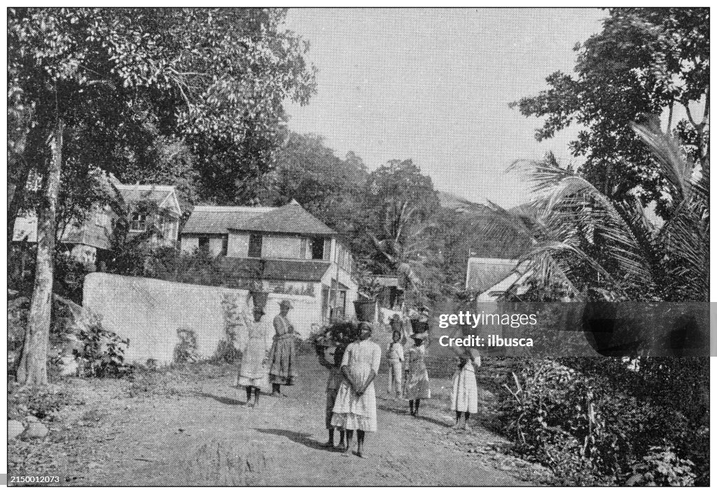 Antique image: Jamaica