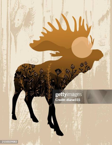 double exposure of a moose with a sunset & plants inside. - moose-silhouette stock illustrations