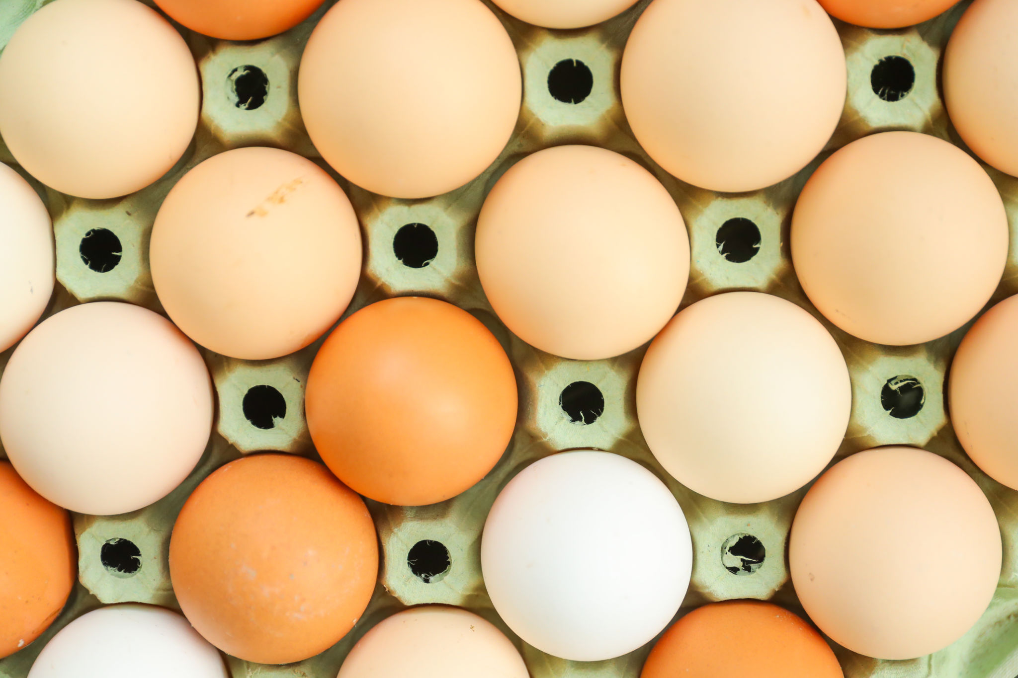 Chicken eggs in a cardboard box Chicken eggs in a cardboard box