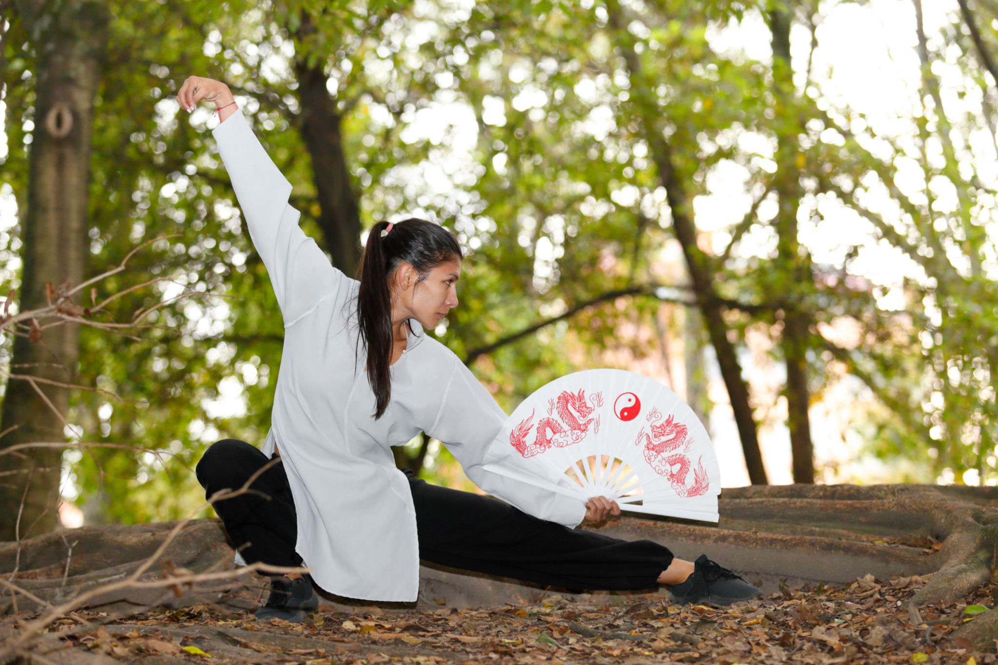 Outdoor Tai chi Outdoor Tai chi