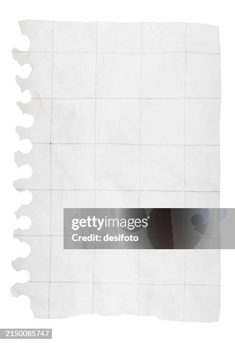 Math Paper Ripped A Vertical Vector Illustration Of A Blank Checkered Pattern Off White ...