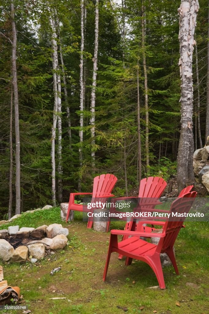Four bright red plastic Adirondack chairs around rock edged firepit dug into the ground in backyard surrounded by a forest of evergreen and deciduous trees in late summer, Quebec, Canada, North America