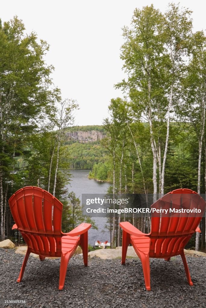Two bright red plastic Adirondack chairs overlooking a calm lake through Betula, Birch trees with green leaves from gravel surface patio in backyard of a secluded log cabin home in late summer, Quebec, Canada, North America