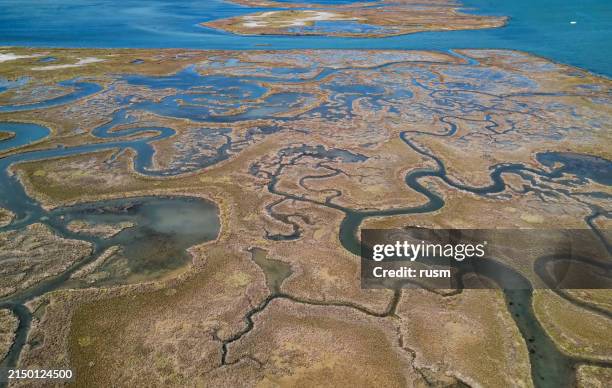 veduta aerea della palude salata nella laguna di venezia, italia - fiume foto e immagini stock
