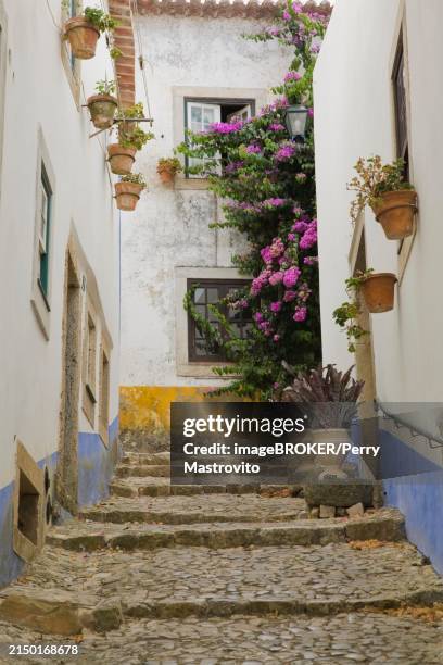 old street with mosaic style paving stone stairs and white roughcast buildings with blue and yellow painted stripes, medieval city of obidos, portugal, europe - estremadura e ribatejo imagens e fotografias de stock