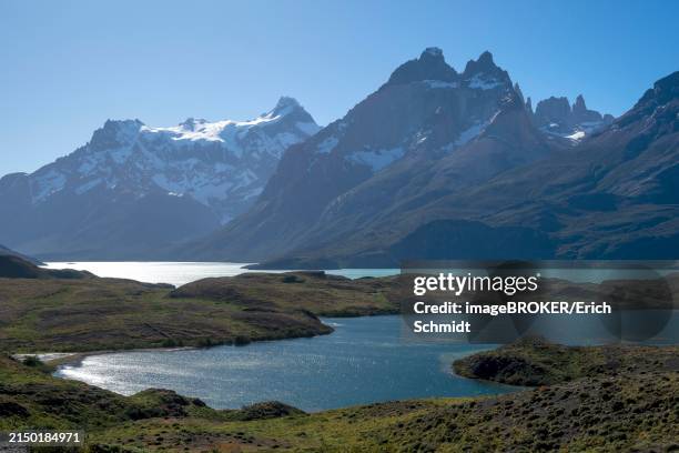 lago pehoe, mountain range of the andes, backlight, torres del paine national park, parque nacional torres del paine, cordillera del paine, towers of the blue sky, region de magallanes y de la antartica chilena, ultima esperanza province, unesco - magallanes y antartica chilena regio stockfoto's en -beelden