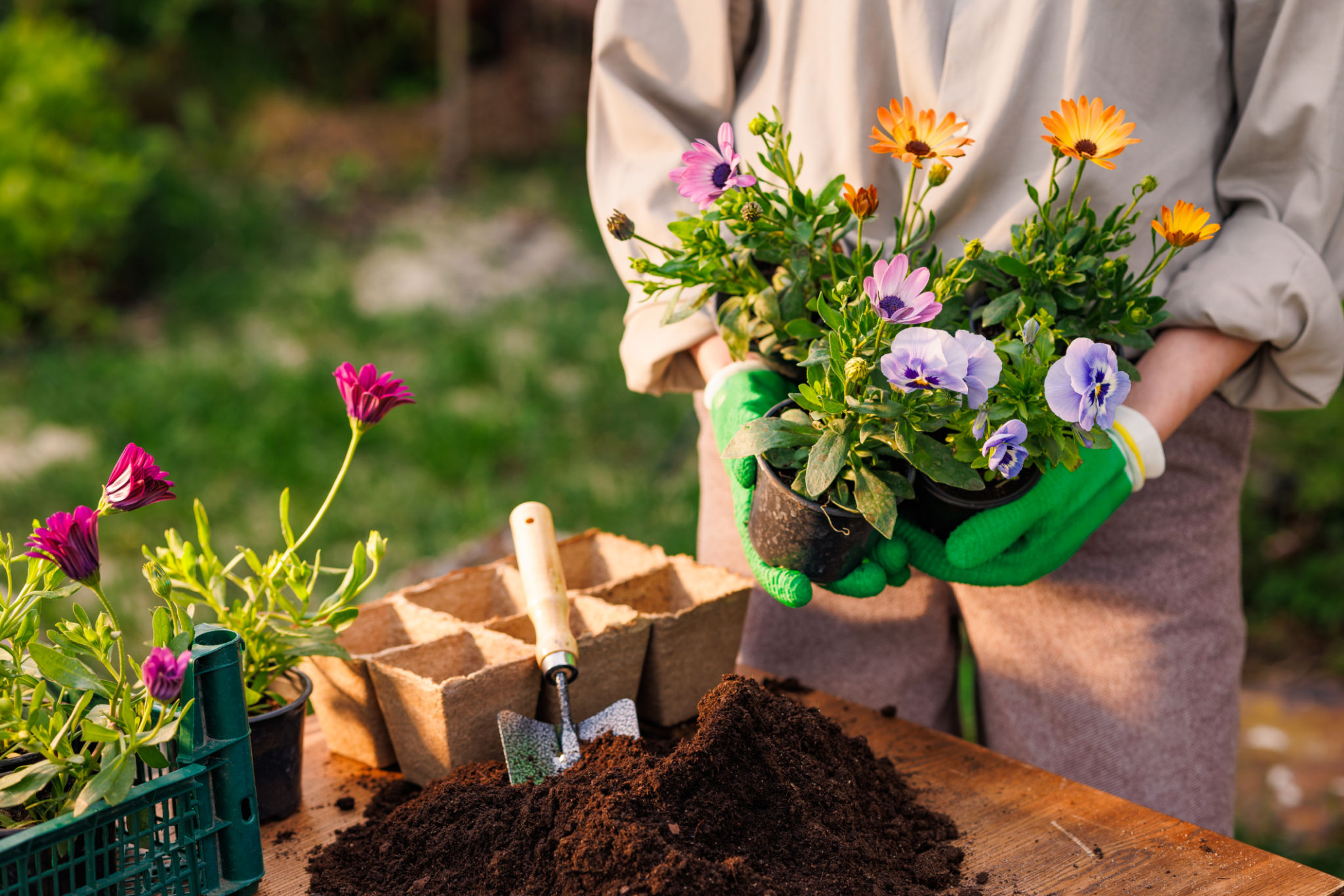 planting flowers
