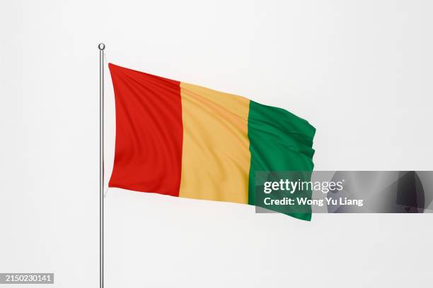 guinea flag on white background - guinea flag stock pictures, royalty-free photos & images