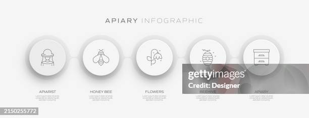 apiary related process infographic template. process timeline chart. workflow layout with linear icons - bees pollinating stock illustrations