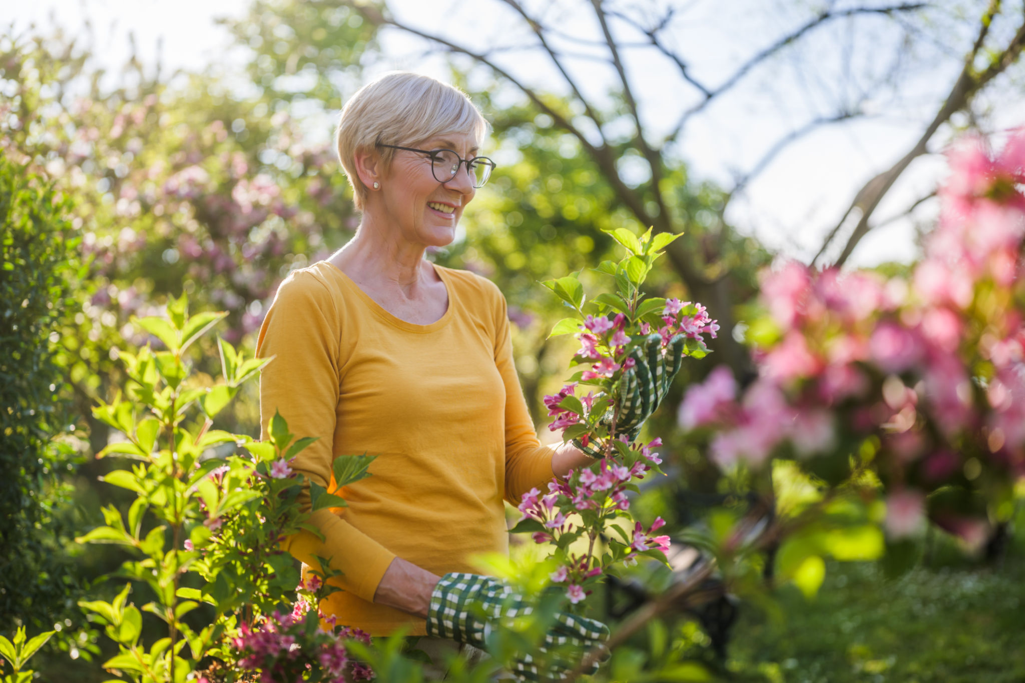 spring gardening