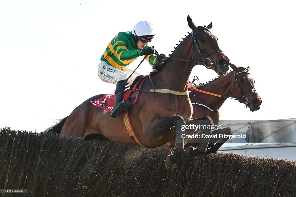 Punchestown Festival - Day One