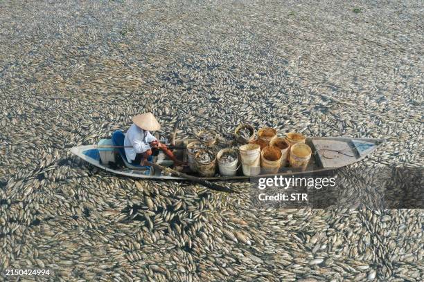 This aerial photo shows a fisherman collecting dead fish caused by renovation works and the ongoing hot weather conditions from a reservoir in...