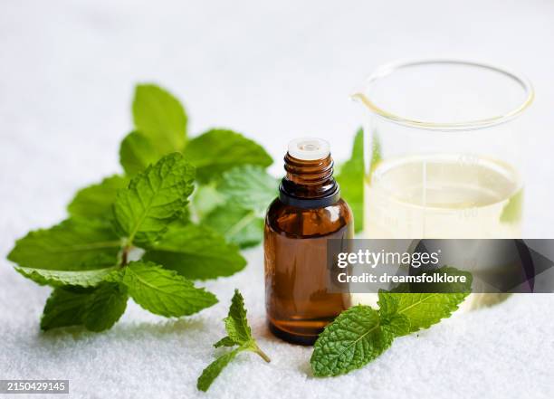 peppermint essential aromatherapy oil on white background - etherische olie stockfoto's en -beelden