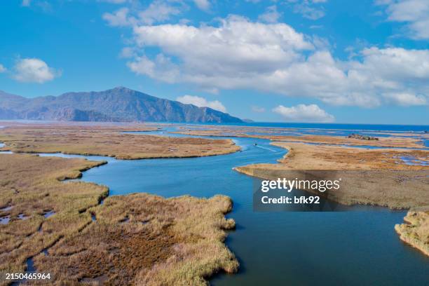 aerial view of dalyan delta in mugla, türkiye. - dalyan stock pictures, royalty-free photos & images