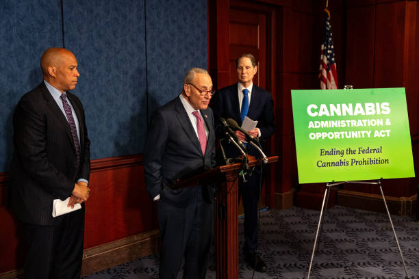 DC: Democratic Senators Reintroduce Cannabis Administration And Opportunity Act