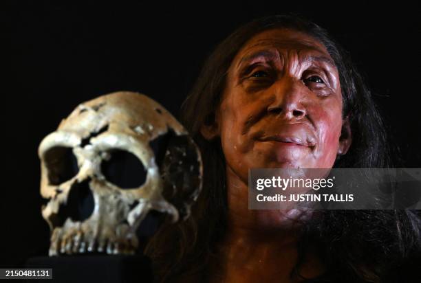 Picture shows the rebuilt skull and a physical reconstruction of the face and head, of a 75,000-year-old Neanderthal woman, named Shanidar Z, after...