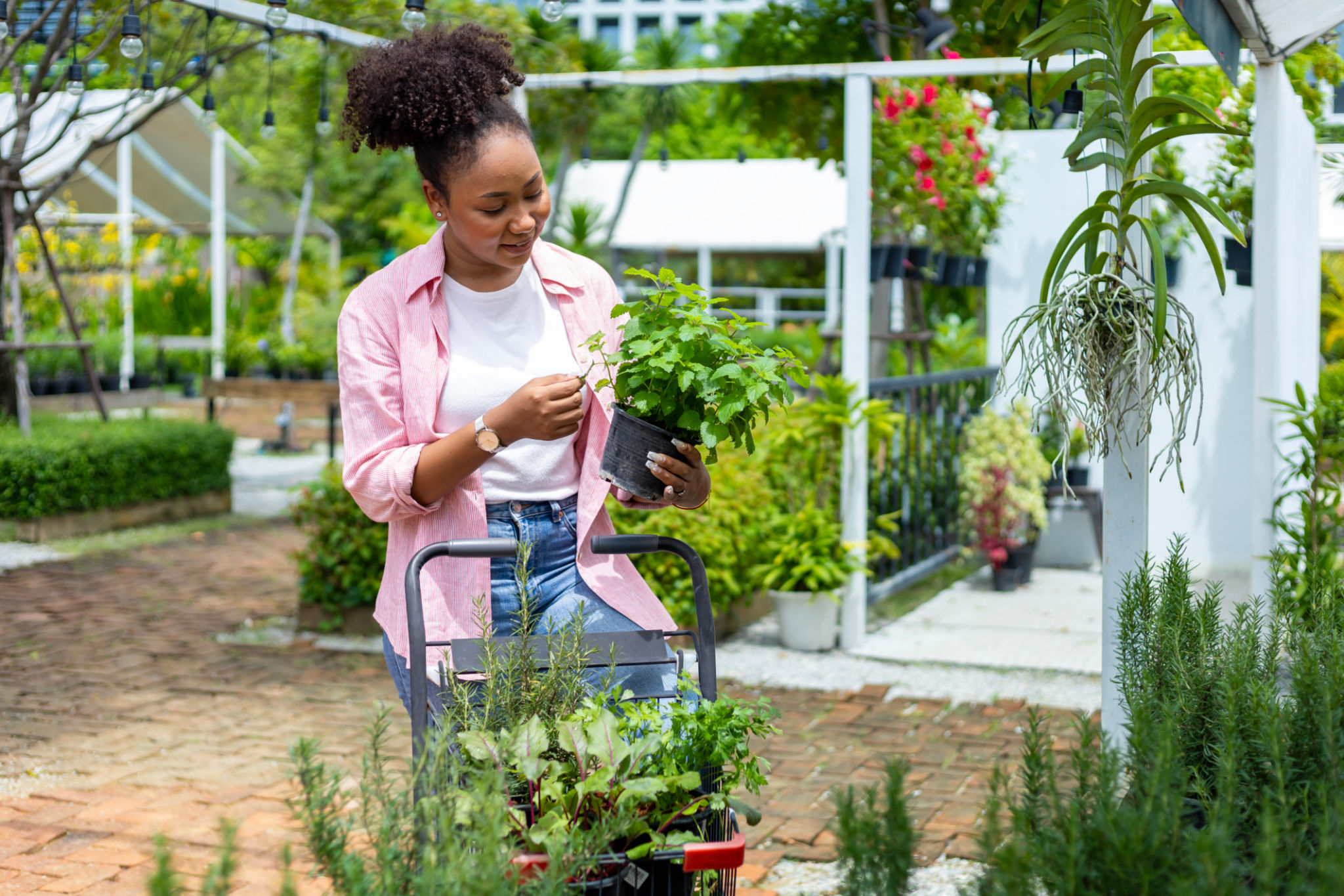 choosing garden type