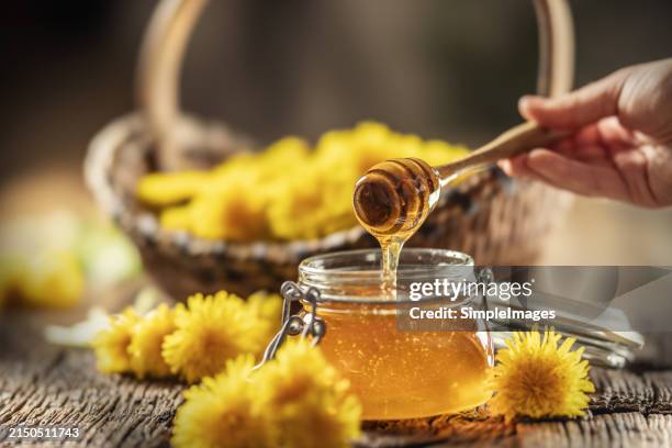 a woman's hand scoops up dandelion honey with a wooden dipper. - honey stock pictures, royalty-free photos & images