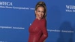 Sunny Hostin attends the 2024 White House Correspondents' Dinner at ...