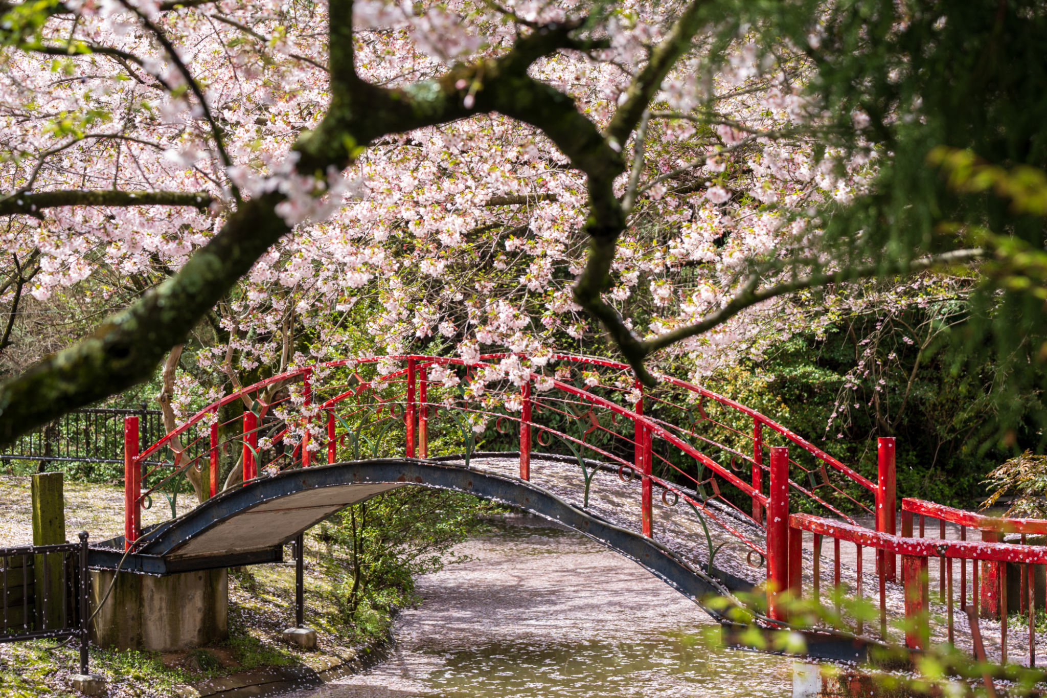 hokkaido shrine