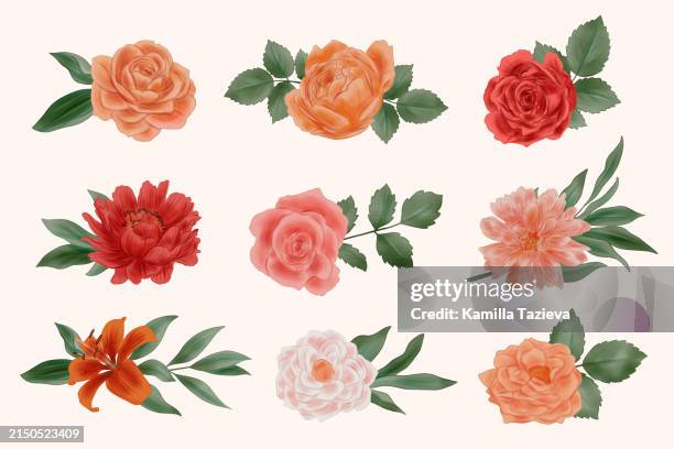 watercolor elegant floral elements - plant part stock illustrations
