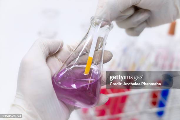 scientist checking ph of sample by litmus paper - litmus paper stock pictures, royalty-free photos & images