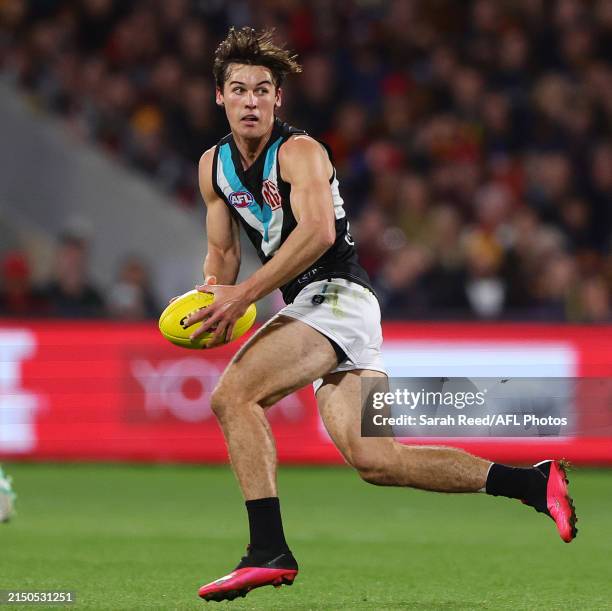 Connor Rozee Crows 1,293 Connor Rozee Photos & High Res Pictures - Getty Images