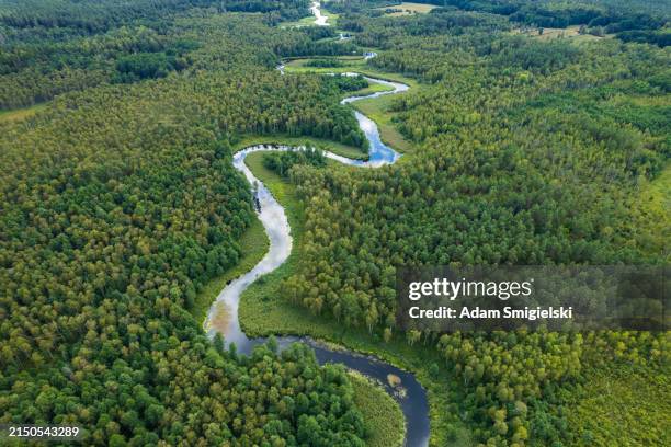 schöne landschaft mit einem kleinen mäandernden fluss (luftbild) - fluss stock-fotos und bilder
