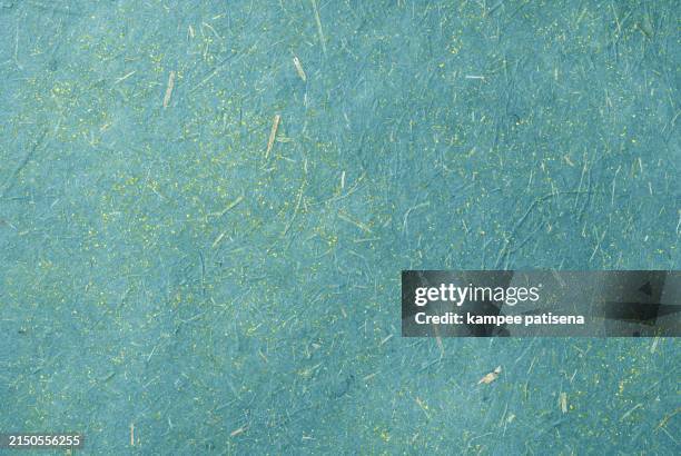 mulberry paper with leaf texture background - büttenpapier stock-fotos und bilder