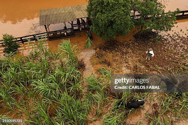 Brazil Rio Rise 1,712 Rio Grande Rise Stock Photos, High-Res Pictures, and Images ...