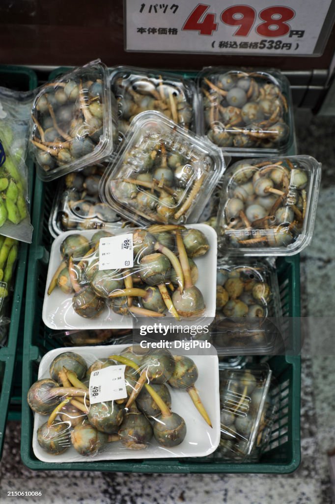 Chinese-Origin Water Chestnuts (Threeleaf Arrowhead, Sagittaria trifolia L. 'Caerulea') for Sale in Kamata