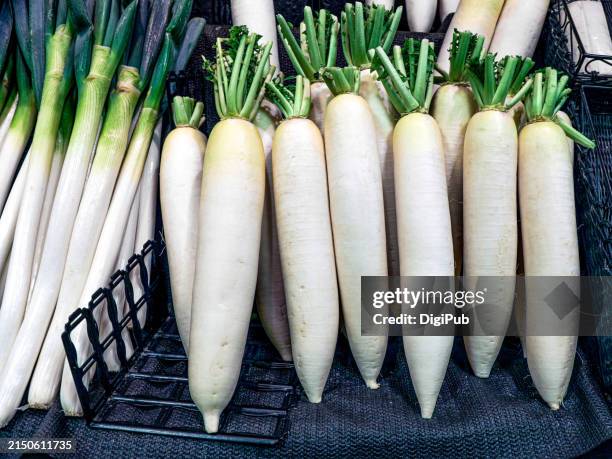 fresh white daikon radishes at kamata night market - rábano grande japonés fotografías e imágenes de stock