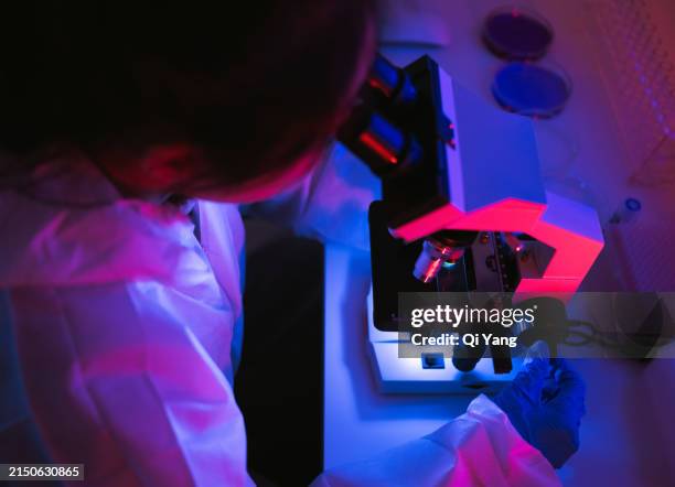scientist using microscope in the laboratory at night - molekylär struktur bildbanksfoton och bilder