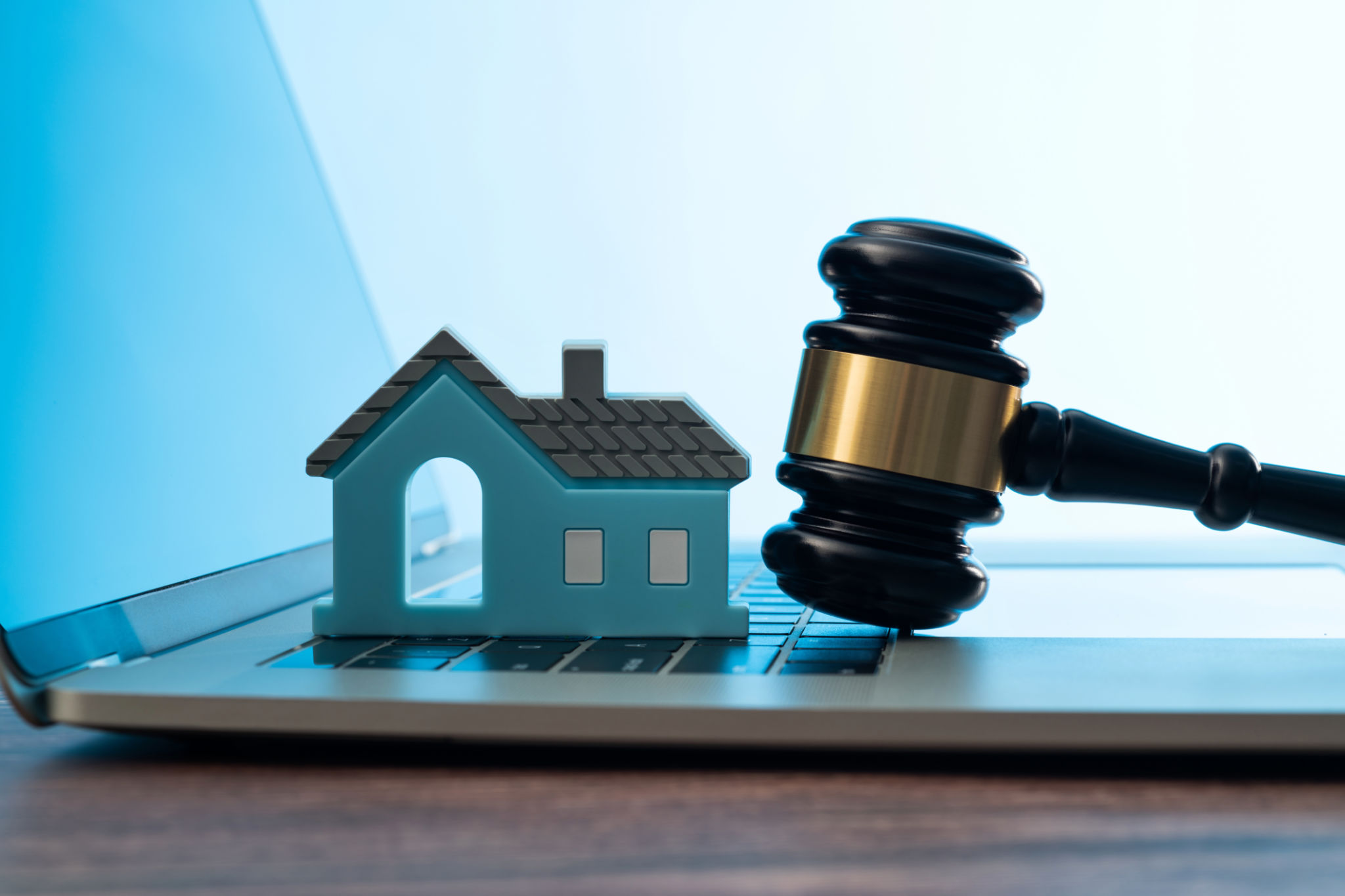 sustainable online auctions