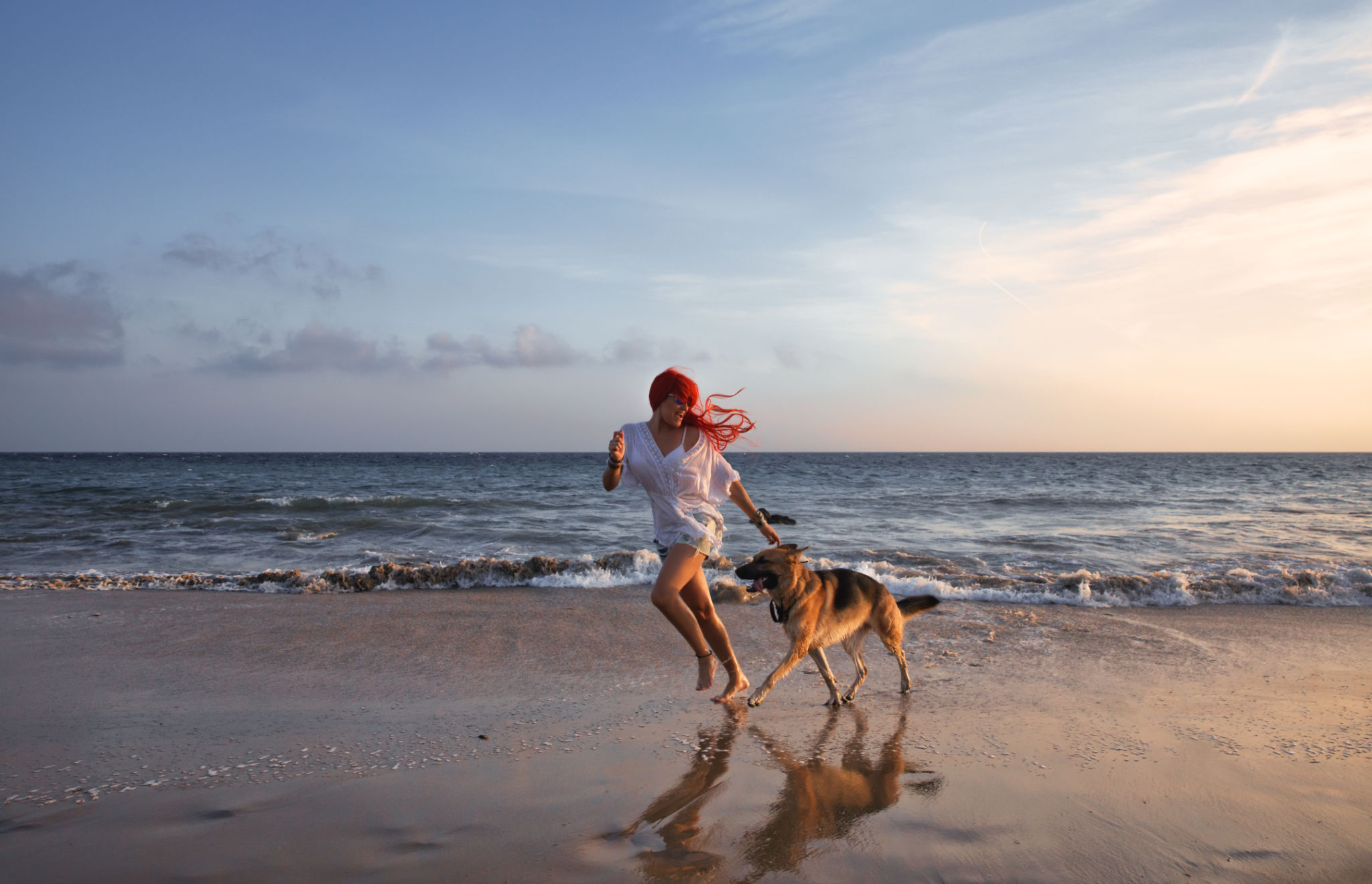dog beach