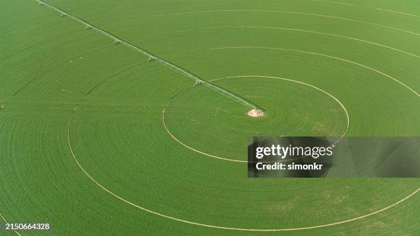 Vista Del Campo Con Irrigazione A Perno Circolare, Foto stock