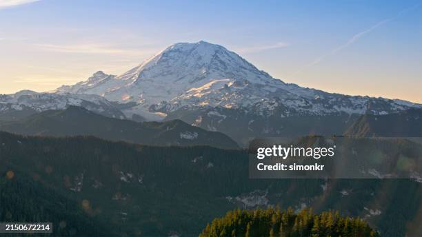 scenic view of mount rainier - tacoma stock pictures, royalty-free photos & images