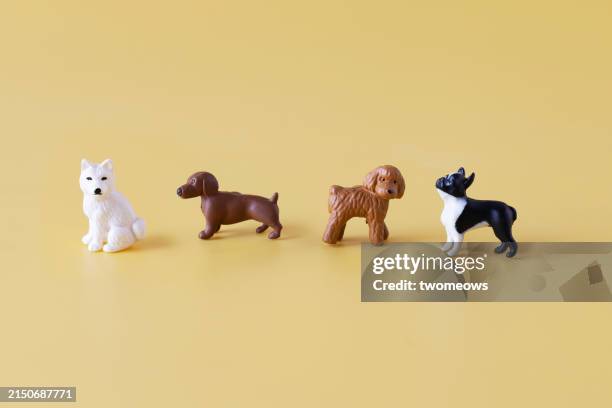 choice concepts still life with pet dog. - figurine stock pictures, royalty-free photos & images