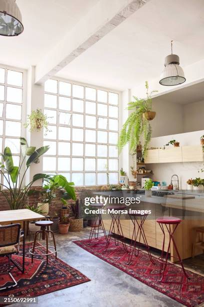 interior of kitchen with furniture and plants - kitchen island stock pictures, royalty-free photos & images
