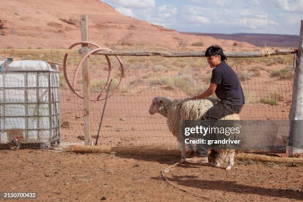 Old Roping Pen 11 Lone Butte Ranch Arizona Stock Photos, High-Res Pictures, and Images ...