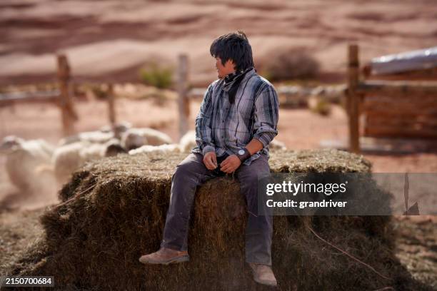 young navajo man in his twenties sitting on a bale of hay watching his flock of sheep in monument valley arizona - native american reservation stock pictures, royalty-free photos & images
